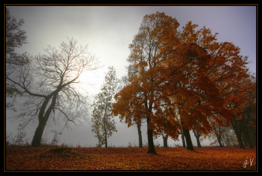 fotografie:Podzimní loučení fotka