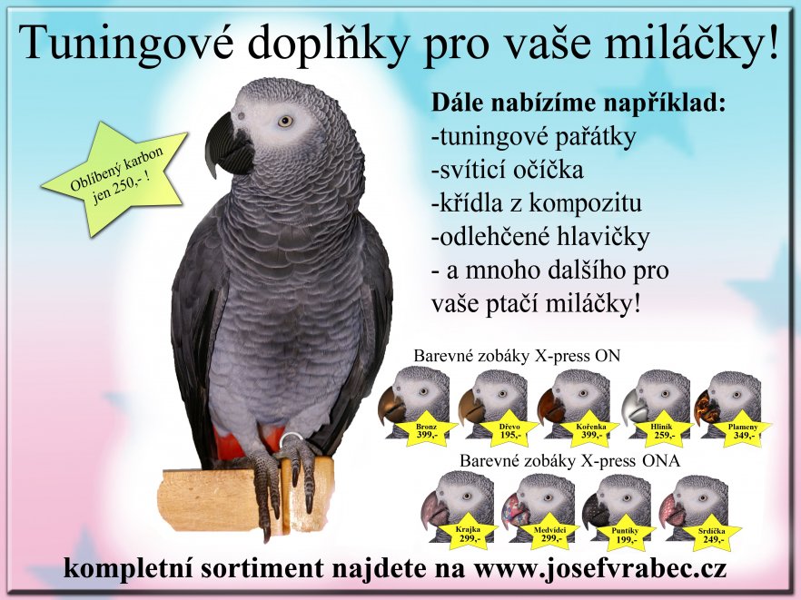 Recese prodej zobku fotografie