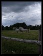fotografie