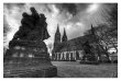 fotografie
