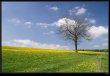 n�hodn� fotka