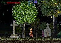 New Castlevania